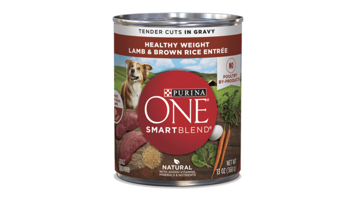Purina One Tender Cuts In Gravy Lamb & Brown Rice Wet Dog Food (13 oz)