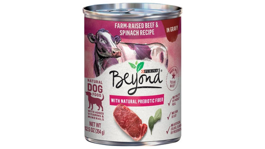 Purina Beyond Grain Free Natural Beef & Spinach in Gravy Dog Food (12.5 oz)