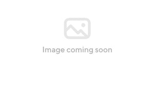 Special Kitty Odor Control Tight Clumping Cat Litter (20 lb)